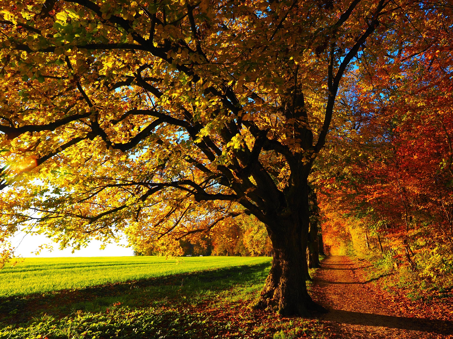 Fall autumn scenery 1