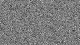 White Noise